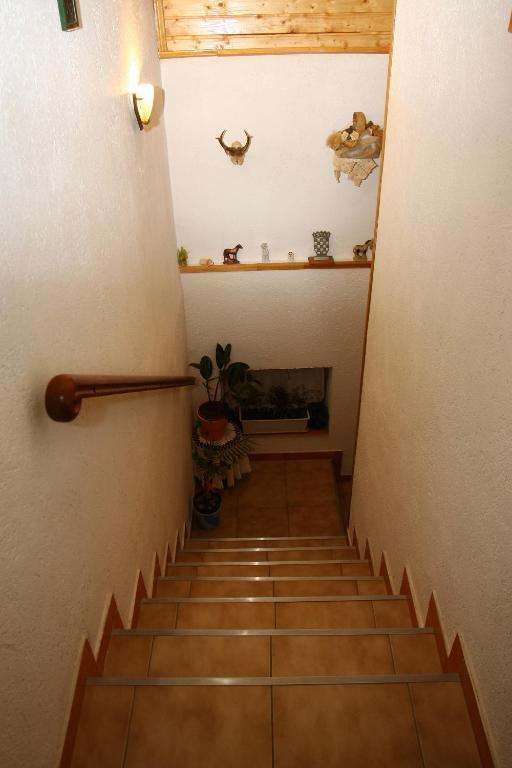 Apartments Nena Smoljanac Exterior photo